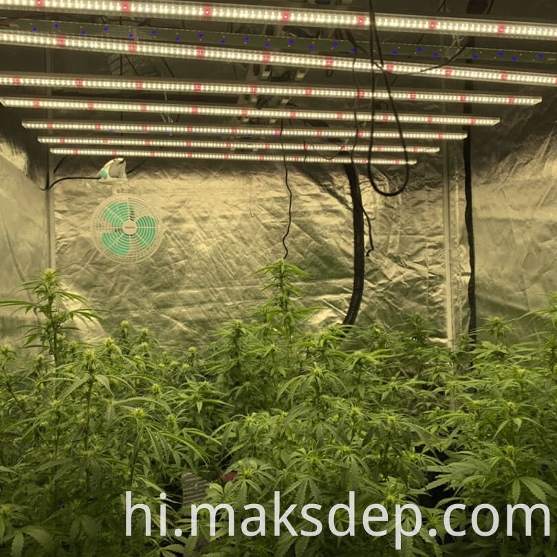 Factory Direct 1000w Led Grow Light